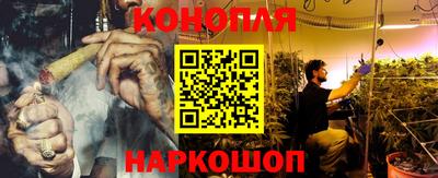 PSILOCYBIN Можга