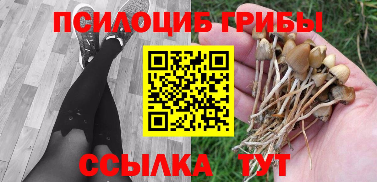 Псилоцибиновые грибы прущие грибы Тихорецк